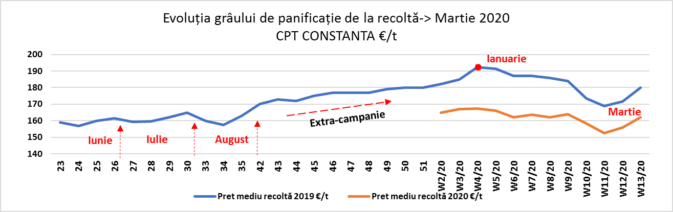 Status evolution of the cereals market in Romania