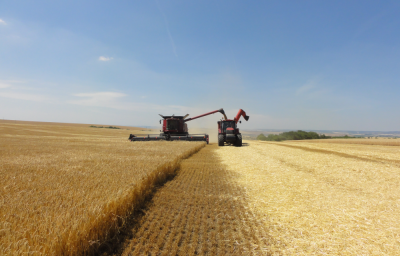 SGA (Soufflet Grain Analityc) CLUB- Analiza pieței cerealelor