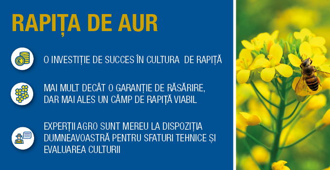 rapita_de_aur_300x677-1.png