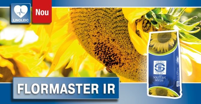 FLORMASTER RO 2020_2.jpg