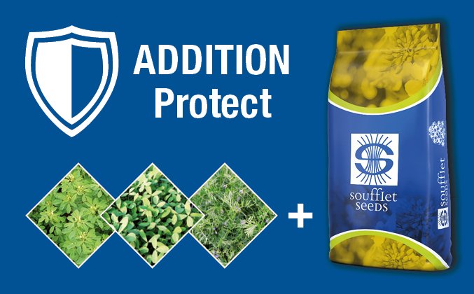 web_ADDITION_Protect.png