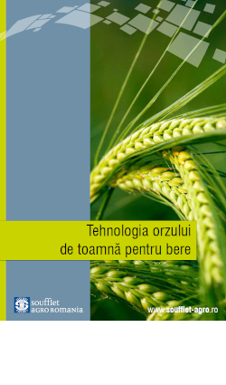 Tehnologia orzului de toamnă pentru bere