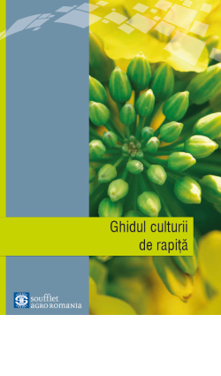 GHIDUL CULTURII DE RAPIȚĂ 2024