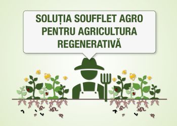 DE CE AVEM NEVOIE DE AGRICULTURA REGENERATIVĂ?