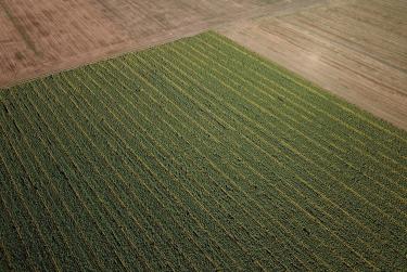 SFS TROPHY CHALLEANGE- SOUFFLET AGRO UKRAINE TEAM TRIP IN ROMANIA