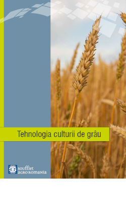 TEHNOLOGIA CULTURII DE GRÂU 2024