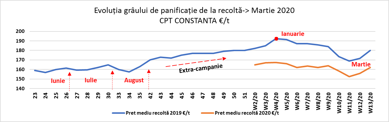 Status evoluția pieței cerealelor în România