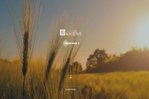 GRUP SOUFFLET A LANSAT UN NOU WEBSITE