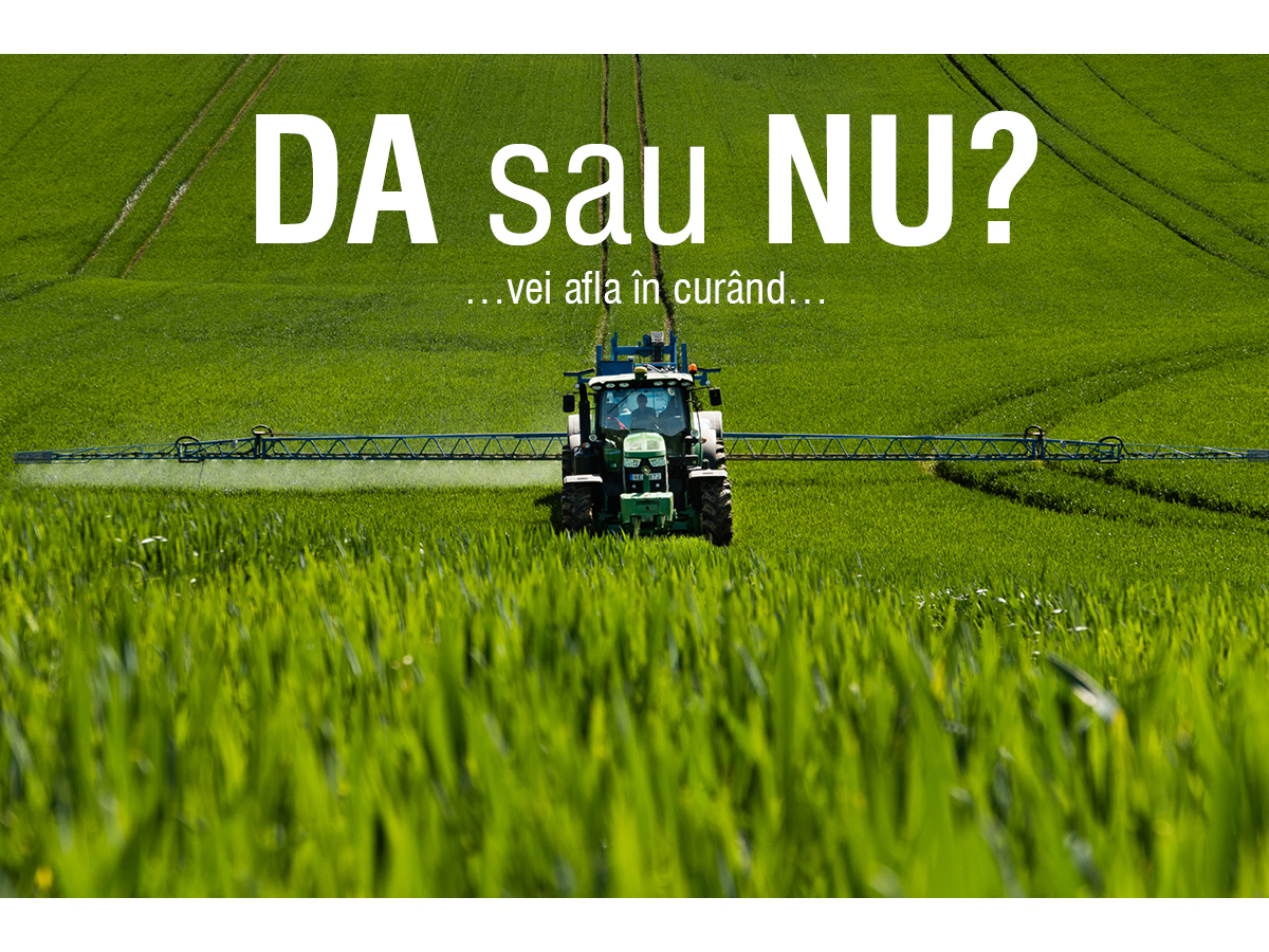 DA sau NU?