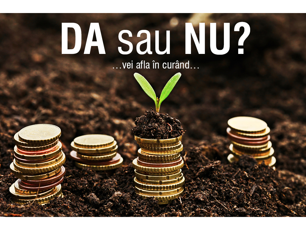 DA sau NU?