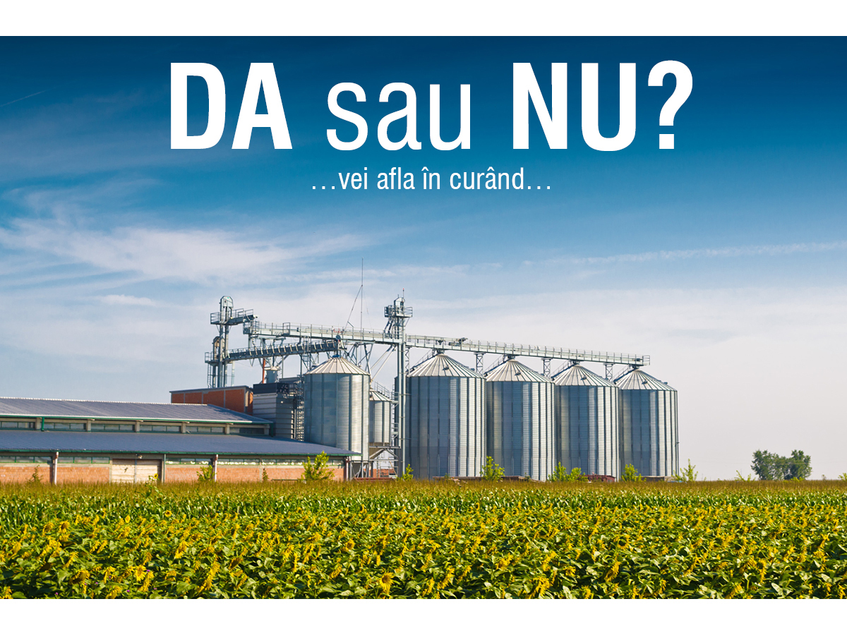 DA sau NU?